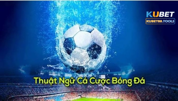 Các thuật ngữ cá cược bóng đá thường dùng khác